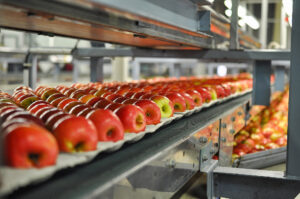 organisation professionnelle d’échanges et de partenariat - Association nationale des expéditeurs et exportateurs de fruits et légumes, Paris