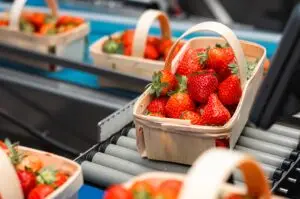 organisation professionnelle d’échanges et de partenariat - Association nationale des expéditeurs et exportateurs de fruits et légumes, Paris